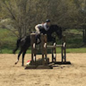 Meet your Posher, Alina